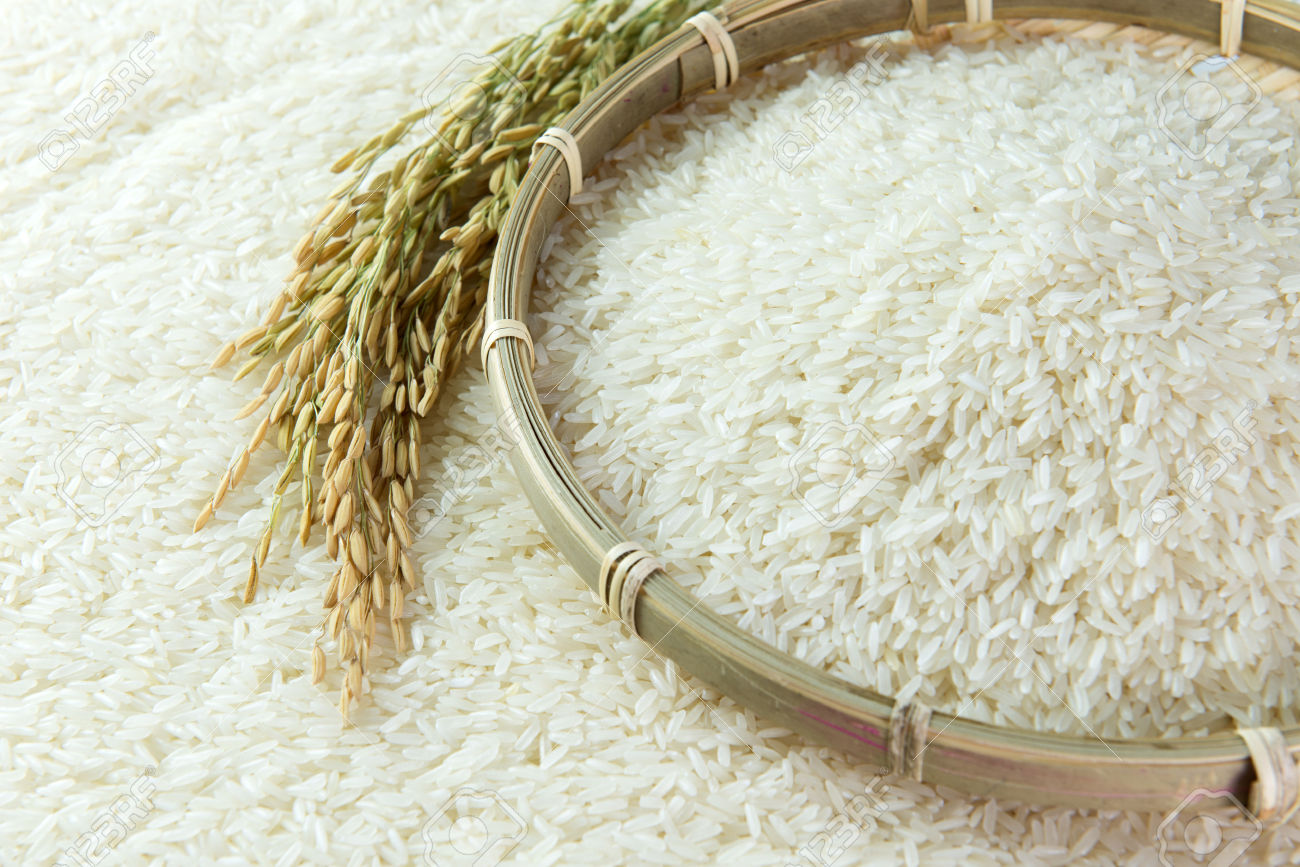 Giá lúa gạo hôm nay 23/6: Giá gạo nguyên liệu và thành phẩm điều chỉnh giảm nhẹ